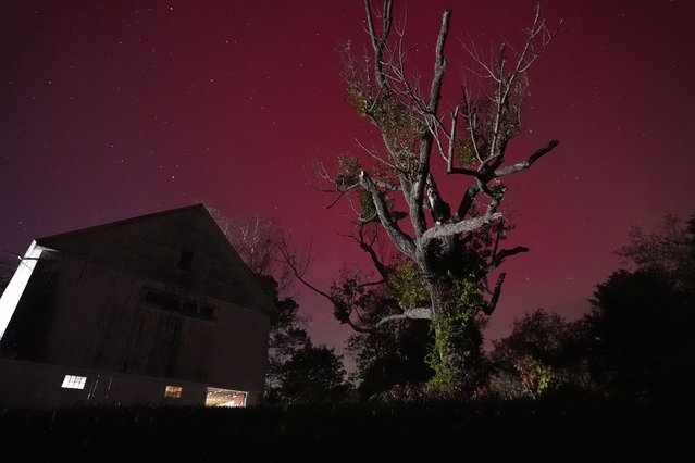 An aurora borealis, also known as the northern lights, glows red in the sky above a barn, Thursday, October 10, 2024, in East Derry, N.H. (Photo by Charles Krupa/AP Photo)