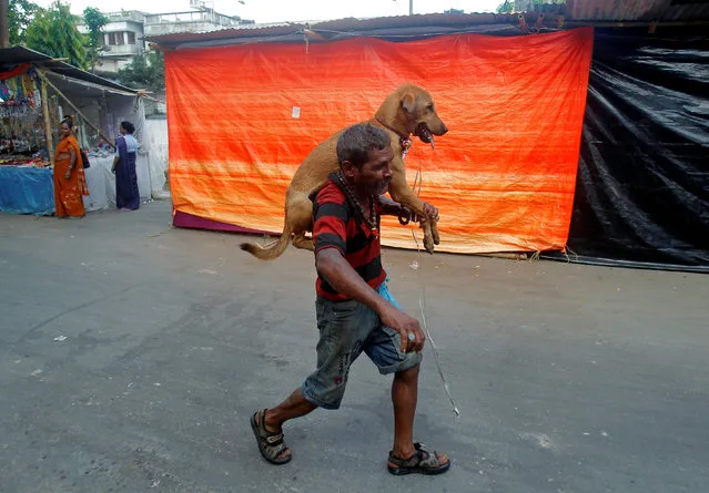 A man carries a stray dog along a road in Agartala, India August 29, 2016. (Photo by Jayanta Dey/Reuters)