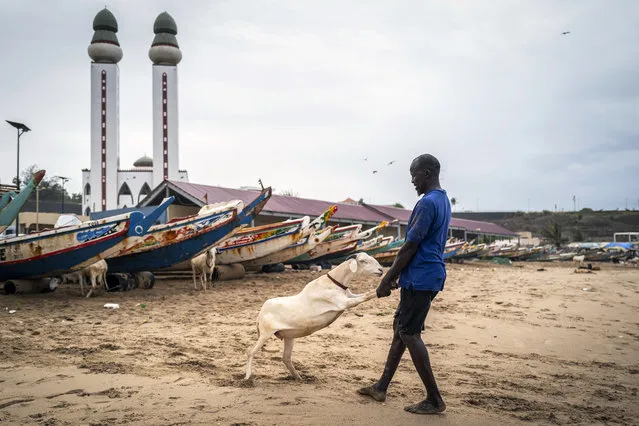 A man pulls his sheep to be washed with sand and seawater on the beach before it is offered for sale for the upcoming Islamic holiday of Eid al-Adha, on the beach in Dakar, Senegal Thursday, July 30, 2020. (Photo by Sylvain Cherkaoui/AP Photo)