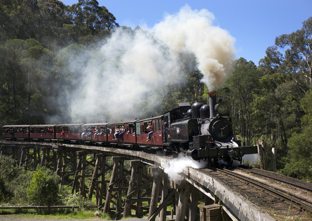 A Puffing Billy steam train hauled by locomotive 14A crosses the Monbulk Creek trestle after leaving Belgrave station near Melbourne, October 20, 2014. (Photo by Jason Reed/Reuters)