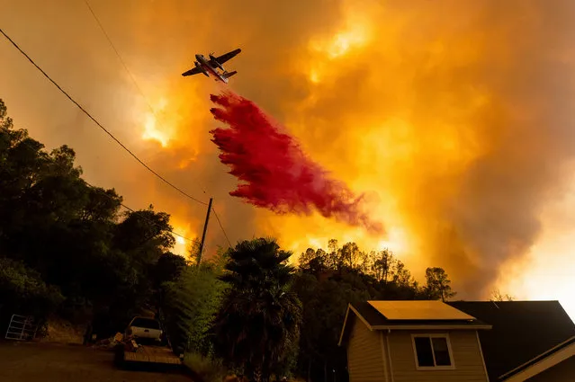 An air tanker drops retardant as the LNU Lightning Complex fires tear through the Spanish Flat community in unincorporated Napa County, Calif., Tuesday, August 18, 2020. (Photo by Noah Berger/AP Photo)