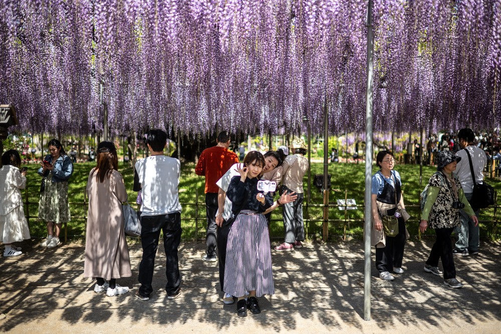 A Look at Life in Japan