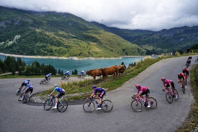 The pack speeds down Cormet de Roseland pass during the nineteenth stage of the Tour de France cycling race over 93.1 kilometers (57.85 miles) with start in Albertville and finish in La Plagne, France, Friday, July 25, 2025. (Photo by Mosa'ab Elshamy/AP Photo)