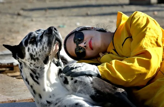 In this Friday, December 5, 2014 photo, Homa Rashid, a lawyer and volunteer at the Vafa Animal Shelter, rests with a dog, in the city of Hashtgerd 43 miles (73 kilometers) west of the capital Tehran, Iran. (Photo by Vahid Salemi/AP Photo)