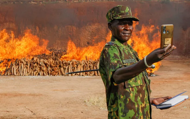 A police officer takes a selfie photograph in front of illegally harvested sandalwood confiscated by Kenya's multiagency security teams set ablaze to curb the trade in their essential oil, which is extracted to manufacture medicines and cosmetics at the Directorate of Criminal Investigations (DCI) offices along Kiambu road in Nairobi, Kenya on February 28, 2023. (Photo by Monicah Mwangi/Reuters)