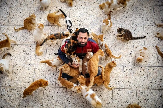 A man from Ernesto's Sanctuary for Cats spends time with injured cats in areas affected by the earthquakes that hit Syria and Turkiye in Idlib, Syria, on March 12, 2023. The group helped nearly 2200 animals mostly cats. (Photo by Muhammed Said/Anadolu Agency via Getty Images)