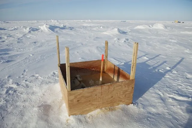 A public toilet stands surrounded by snow near the 2011 Applied Physics Laboratory Ice Station north of Prudhoe Bay, Alaska, March 18, 2011. (Photo by Lucas Jackson/Reuters)