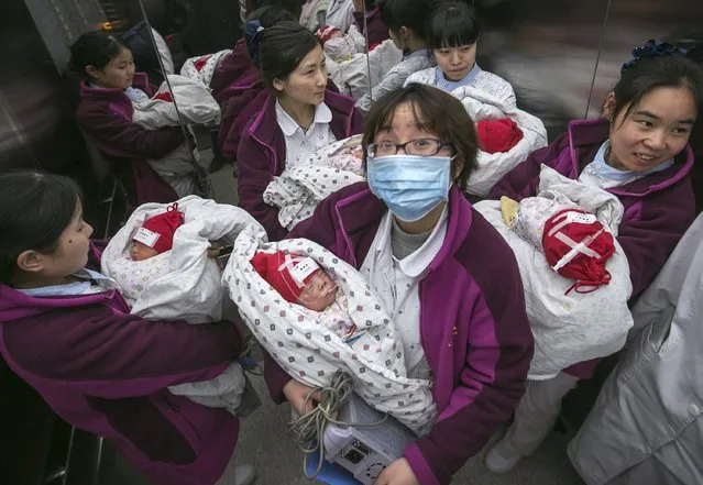 Nurses stand in a lift, carrying new-born babies suffering from critical diseases as they transfer them to the hospital's new building, in Hangzhou, Zhejiang province, December 29, 2014. About 38 children under police convoy were transferred to the new hospital site on Monday, according to local media. (Photo by Chance Chan/Reuters)