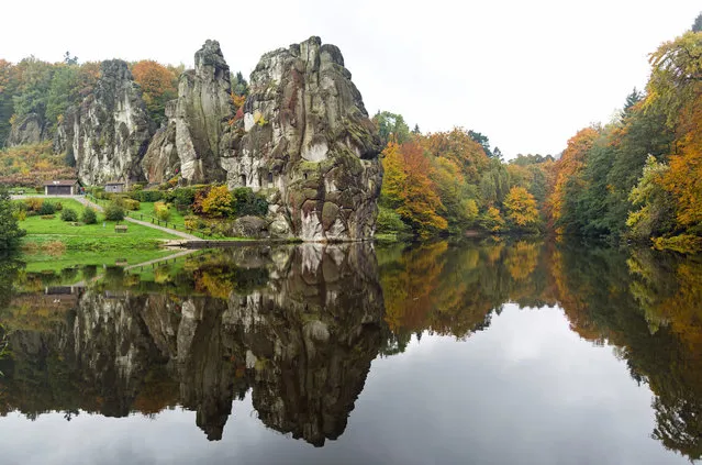 The rocks of the Teutoburger forest and trees are pictured on October 26, 2016 in Horn-Bad Meinberg, near Detmold. (Photo by Marcel Kusch/AFP Photo/DPA)