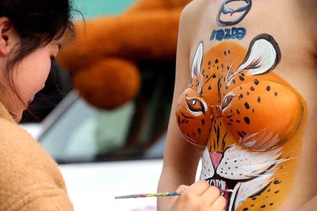 A painter was drawing a lion head body painting on a model during the auto show on March 15, 2015. The local 2015 auto show was held in Xuchang Stadium in Xuchang, Henan Province, China. The exhibitors tried a variety of ways for promotion and attracting people's attention. Some exhibitors were giving gifts to the people scanning their QR codes and add them onto friends list. (Photo by Xu Zhongxin/Sipa Asia)