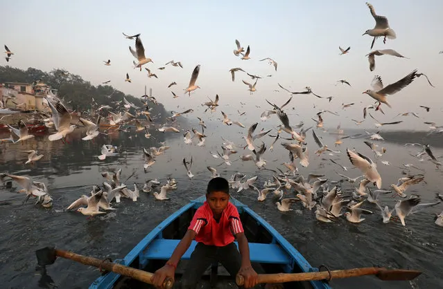 A boy rides a boat as seagulls fly over the waters of the river Yamuna early morning in New Delhi, November 21, 2018. (Photo by Anushree Fadnavis/Reuters)