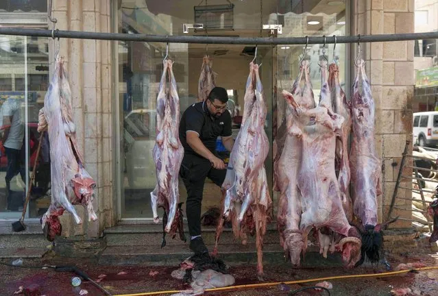 Palestinians prepare the meat from slaughtered sheep on the first day of Eid al-Adha, in the West Bank city of Ramallah, Tuesday, July. 20, 2021. Eid al-Adha or “Feast of Sacrifice”, the most important Islamic holiday marks the willingness of the Prophet Ibrahim (Abraham to Christians and Jews) to sacrifice his son. During the holiday, which in most places lasts four days, Muslims slaughter sheep or cattle, distribute part of the meat to the poor and eat the rest. (Photo by Nasser Nasser/AP Photo)