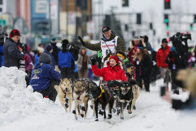 4-time Iditarod champion Jeff King and his team leave the ceremonial start of the Iditarod Trail Sled Dog Race to begin the near 1,000-mile (1,600-km) journey through Alaska’s frigid wilderness in downtown Anchorage, Alaska March 5, 2016. (Photo by Nathaniel Wilder/Reuters)
