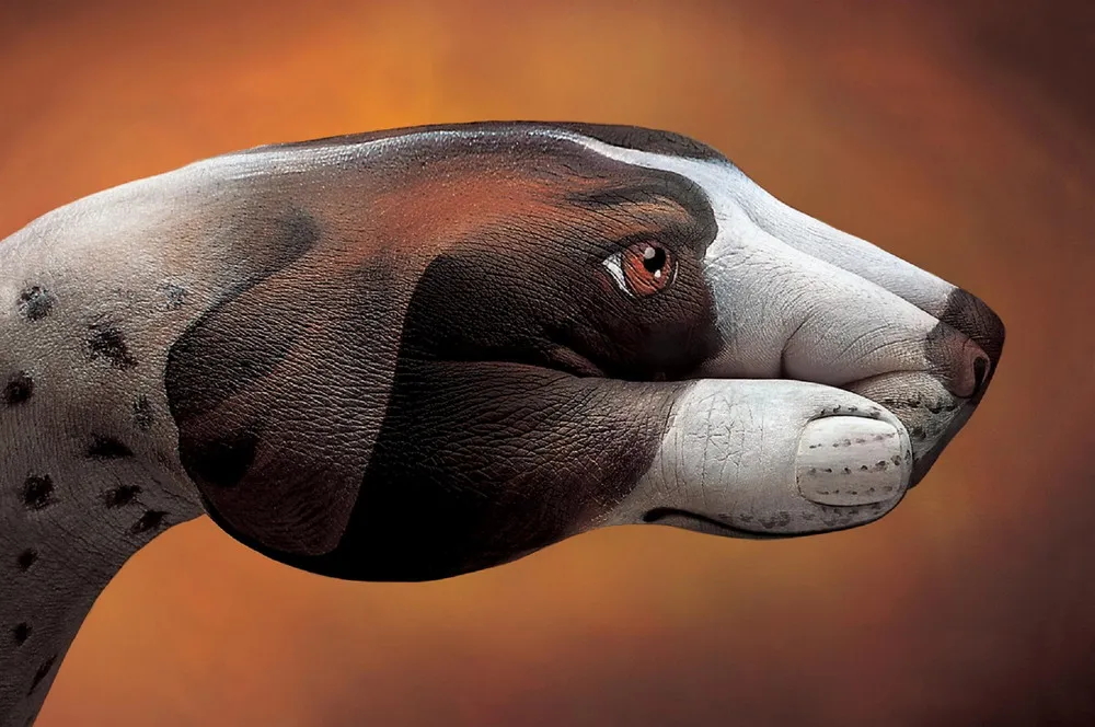 Body Artist Guido Daniele, Part 2 (Updated)