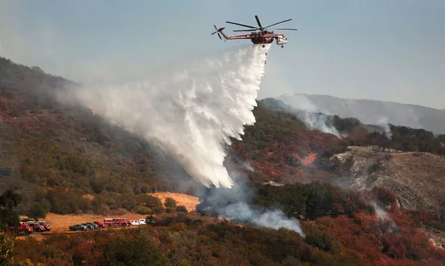 Firefighters from multiple agencies fight the eastern flank of the Alisal Fire along upper Refugio Canyon on October 14, 2021, as it continues to burn Thursday afternoon at near 16,801 acres with 1306 Firefighters on scene. Aircraft will be up making drops throughout the day in support of ground resources putting in line and defending structures. The fire stared Monday afternoon and grew quickly driven by sundowner winds as it burned through Tajiguas Canyon to the 101 freeway forcing closure of the 101 freeway. Mandatory evacuations are in place but winds have subsided Thursday. The 1955 Refugio Fire that consumed 80,000 acres is the last time much of the area had burned. The historic Reagan Rancho del Cielo which sits near the top of Refugio Canyon could be threatened by the flames as the fire moves into Refugio Canyon. (Photo by Al Seib/Rex Features/Shutterstock)