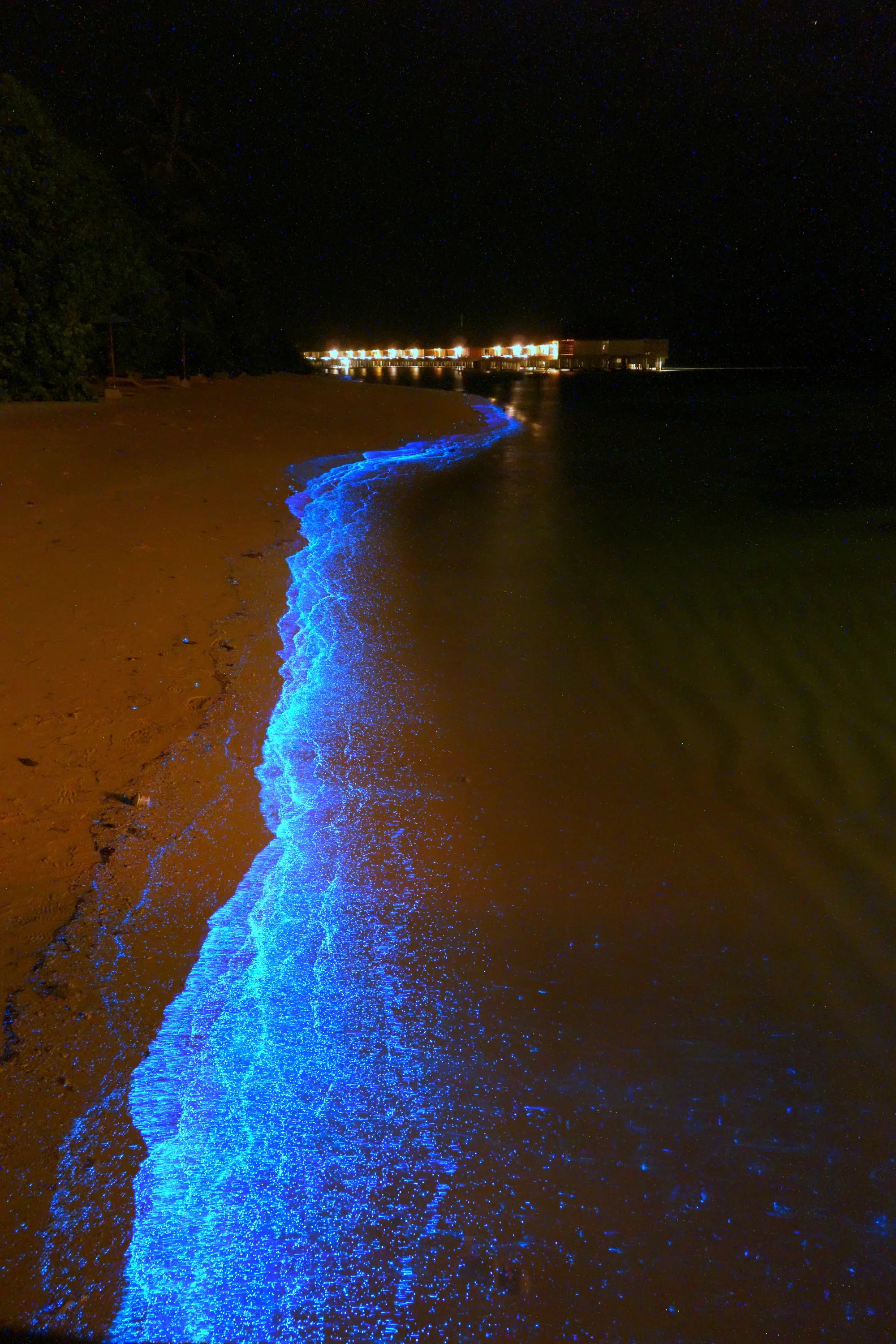 Светящееся море почему светится. Остров Ваадху Мальдивы. Остров Ваадху Мальдивы светящийся планктон. Остров Фуладху Мальдивы. Пляж Ваадху Мальдивы.