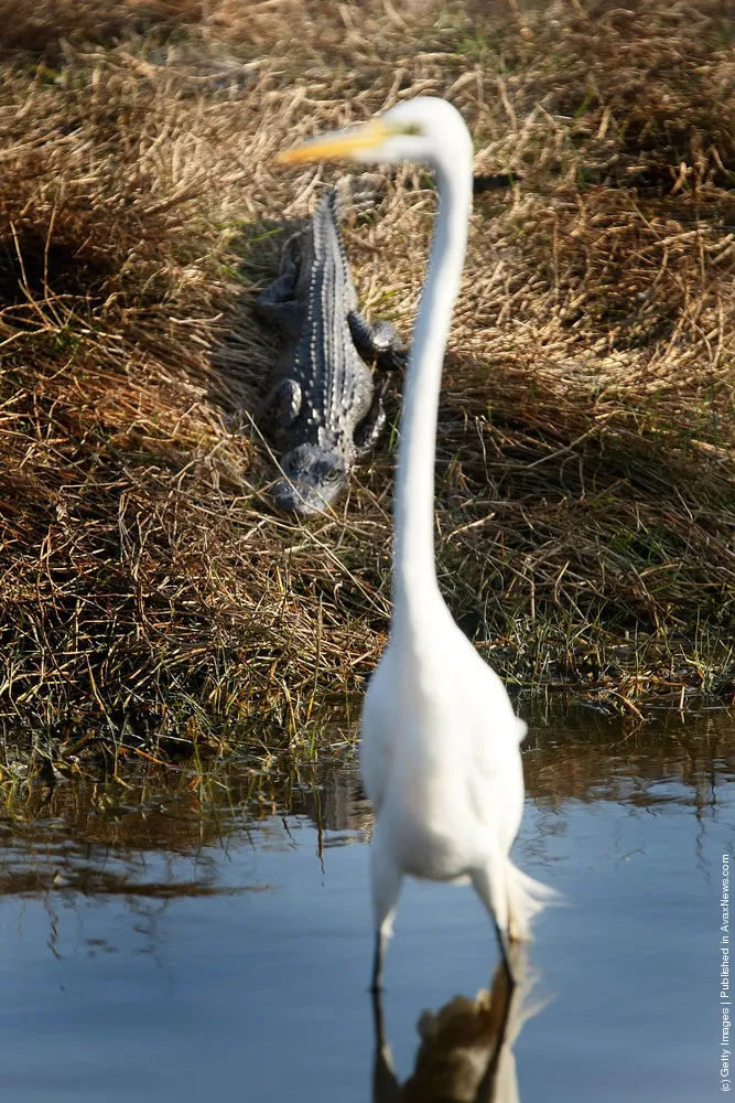 Simply Some Photos: Nature