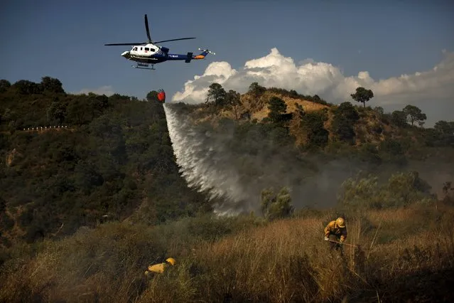 A helicopter drops water over a wildfire as firefighters work to contain it in Benahavis, southern Spain, May 19, 2015. (Photo by Jon Nazca/Reuters)