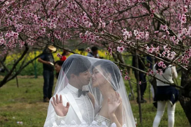 A couple poses for wedding pictures at a park in Wenzhou, Zhejiang province, on March 19, 2014. (Photo by William Hong/Reuters)