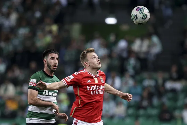 Sporting player Goncalo Inacio (L) in action against Benfica player Casper Tengstedt (R) during their Portuguese First League soccer match held at Alvalade Stadium, in Lisbon, Portugal, 6 April 2024. (Photo by Filipe Amorim/EPA)