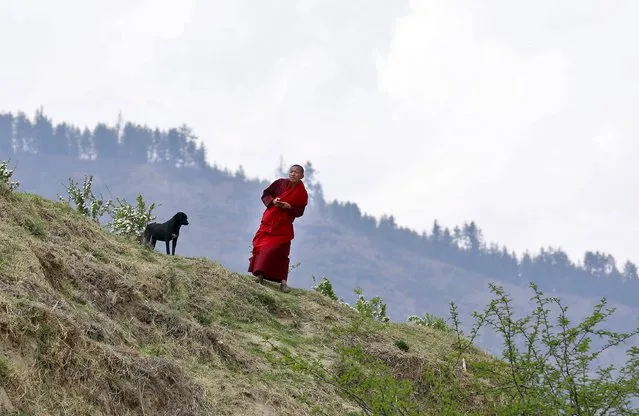 A monk looks for his friends during a break in studies at Changangkha Lhakhang temple in Thimphu, Bhutan, April 13, 2016. (Photo by Cathal McNaughton/Reuters)
