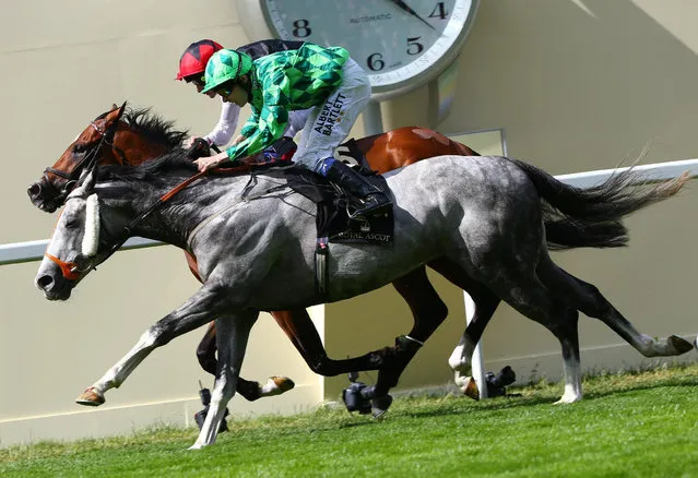 Horse Racing - Royal Ascot - Ascot Racecourse - 17/6/15
Free Eagle ridden by Pat Smullen wins the 16.20 Prince of Wales's Stakes ahead of The Grey Gatsby ridden by Jamie Spencer
Reuters / Eddie Keogh
Livepic
