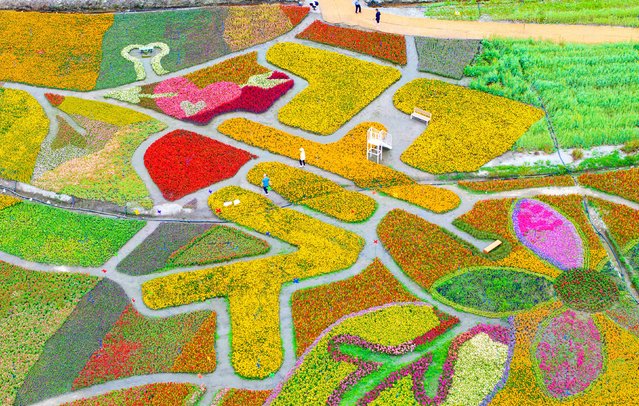 Near Nodong Reservoir, Gochang-eup, Gochang-gun, Jeollabuk-do on June 7, 2024. A beautiful flower garden was created by drawing ‘flowers’ with ‘flowers’. (Photo by Kim Young-geun)