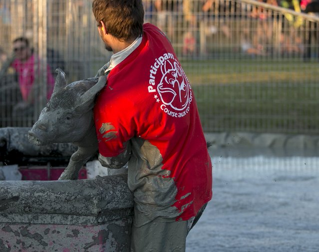 A participant carries a pig to a box in the “greased pig contest” at the Festival du Cochon (Pig Festival) in Sainte-Perpetue, Quebec August 8, 2015. (Photo by Christinne Muschi/Reuters)