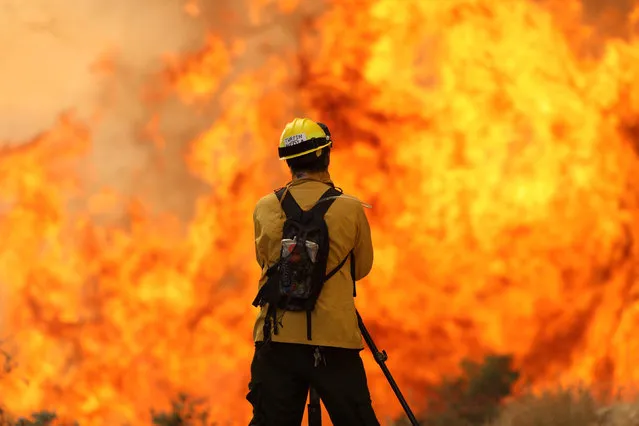 A videographer records flames at a wildfire dubbed the Cave Fire, burning in the hills of Santa Barbara, California, U.S., November 26, 2019. (Photo by David McNew/Reuters)