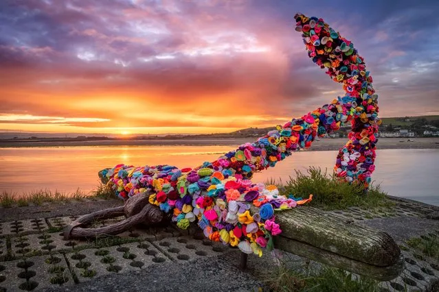 The sun rises behind the landmark Anchor on the quay in Appledore, North Devon, United Kingdom on June 7, 2022. The anchor has been decorated with hundreds of colourful crocheted flowers by the residents of the North Devon coastal village. (Photo by Terry Mathews/Alamy Live News)