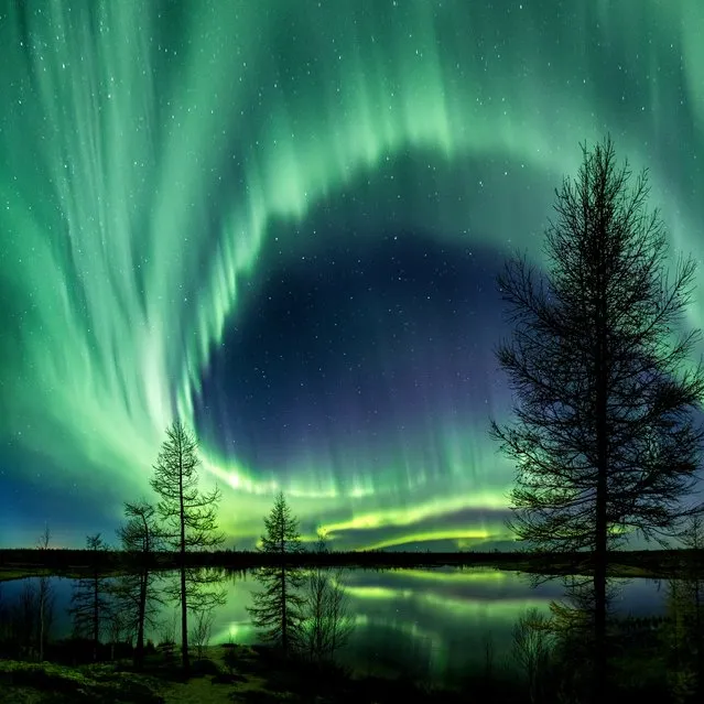 “Aurorae”. Runner up: In Autumn Dance by Kamil Nureev (Russia) A glowing green auroral ray arcs through the night sky over the Siberian forest-tundra. Eight vertical scenes shot – over the course of shooting, every second was precious as the polar light was very dynamic and the photographer had to move as quickly as possible to authentically capture the scene. The polar shine silhouette reminds the photographer of the mathematical “golden ratio”. Noviy Urengoy, Russia, 28 September 2016 Canon 5D Mark III camera, 24 mm f/2.0 lens, ISO 2000, 4-second exposure. (Photo by Kamil Nureev/Insight Astronomy Photographer of the Year 2017)