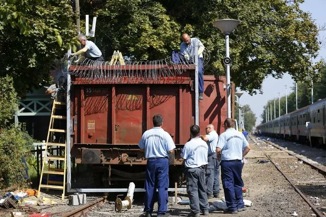 Prison guards attach barbwire on a freight train wagon, prepared to seal the border fence in Hungary at the train station in Roszke, Hungary September 14, 2015. (Photo by Laszlo Balogh/Reuters)