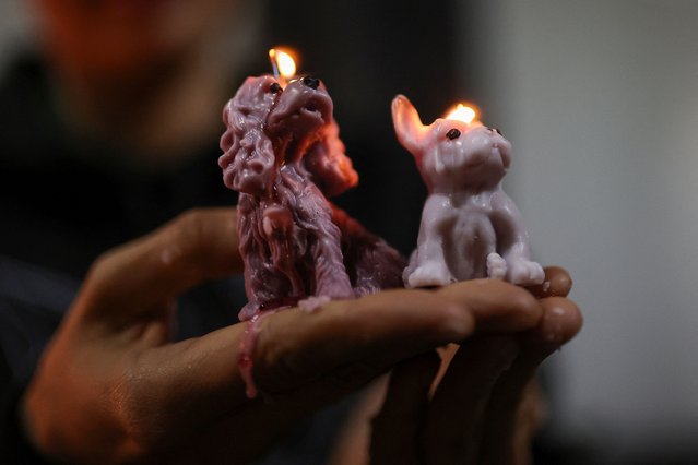 A person holds lit candles in the shape of dogs during a day in honour of Angel, a dog who suffered animal abuse and inspired the bill against animal abuse, which calls for animal abusers to pay criminal charges for the damages inflicted on animals as recognised by the Colombian Constitution, in Bogota, Colombia on February 19, 2025. (Photo by Luisa Gonzalez/Reuters)