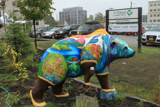 A life-size, fiberglass bear statue painted with nature scenes and rubber boots, part of a “Parade of Bears” display, stands in front of offices of Great Land Trust on Thursday, August 25, 2016, in Anchorage, Alaska. The statues were installed to increase awareness of grizzly and black bears that live within the municipality of Anchorage and to highlight an international bear conference hosted by the city. (Photo by Dan Joling/AP Photo)