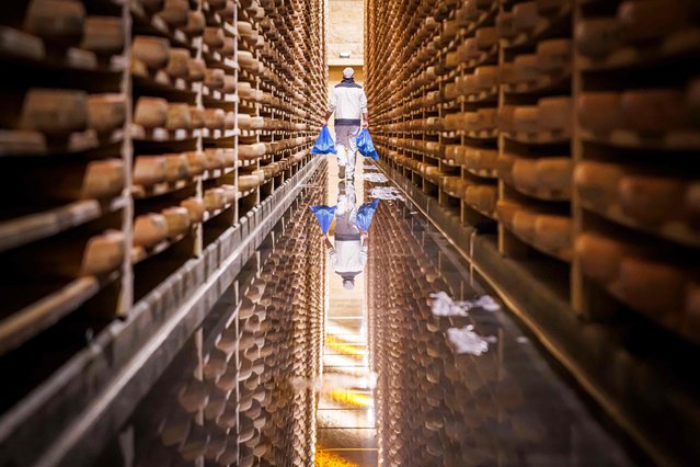 Sebastien Halbout, cellar master, carries bags of cheese as cheesemaker JuraFlore attempts to break the Guinness World Records of the largest cheese fondue, at “Le Fort des Rousses”, in Les Rousses, on February 22, 2025. The French pulled off their gamble on February 22, 2025 : preparing the world's largest cheese fondue, enough to delight over 5,000 people despite the rain and wind. The record is validated with a volume of 2 cubic metres and a total weight of 2,177.5 kilos. It's a brand new Guinness record' for the world's largest fondue, referee Anouk de Timary told AFP. (Photo by Valentin Flauraud/AFP Photo)