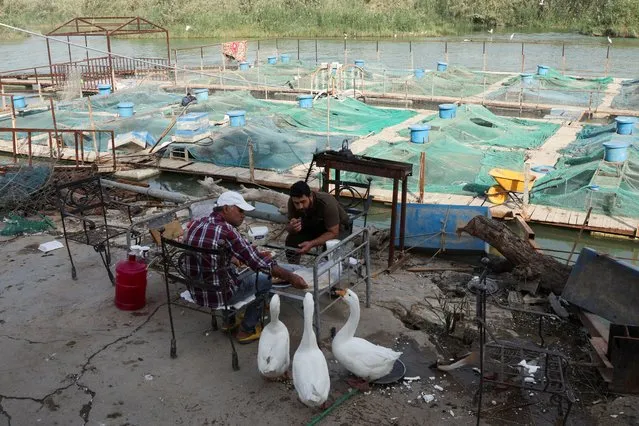 Workers feed ducks during their rest near fish farming pond at the Euphrates River in Najaf, Iraq on November 30, 2022. (Photo by Alaa Al-Marjani/Reuters)