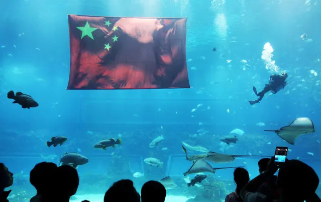 A Chinese national flag is placed in water at an aquarium to celebrate the National Day, in Nanchang, Jiangxi province, China, September 30, 2016. (Photo by Reuters/Stringer)