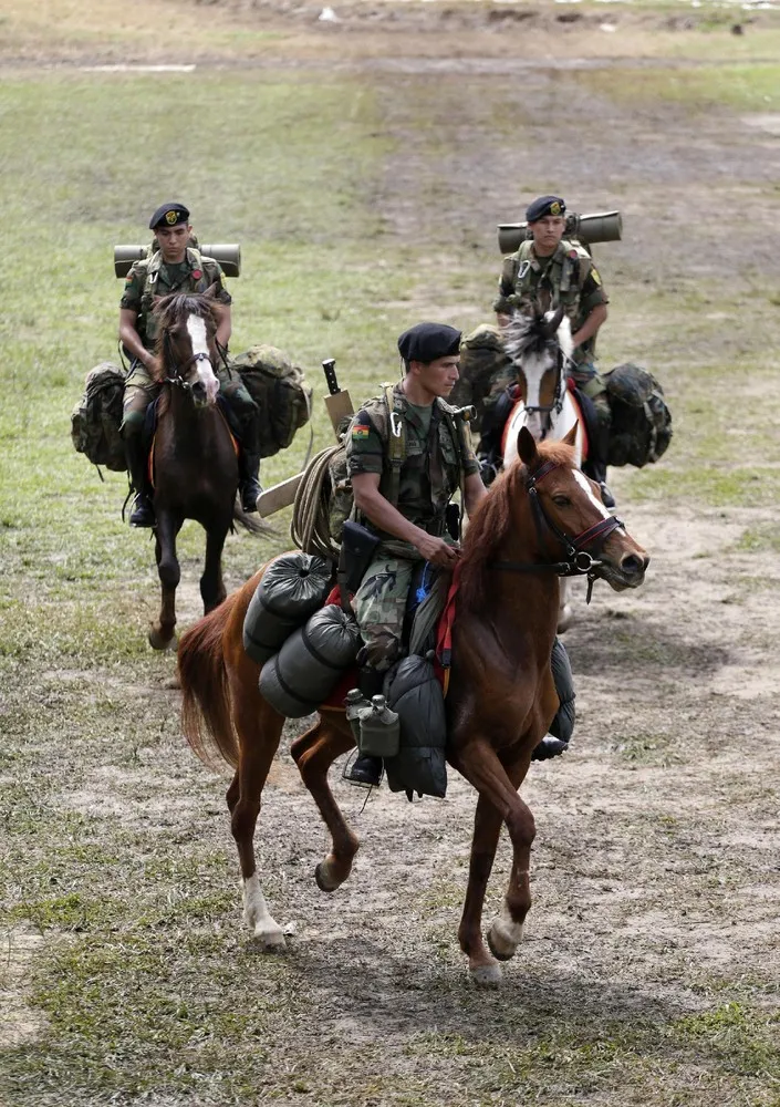 Fighting against Drugs in Bolivia