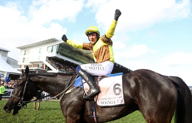 Paul Townend on board Galopin Des Champs celebrate after winning the Boodles Cheltenham Gold Cup Chase during day four of the Cheltenham Festival 2023 at Cheltenham Racecourse on March 17, 2023 in Cheltenham, England. (Photo by Michael Steele/Getty Images)