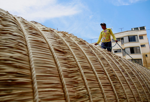 A Bolivian builder walks on top of the “Viracocha III”, a boat made only from the totora reed, as it is being prepared to cross the Pacific from Chile to Australia on an expected six-month journey, in La Paz, Bolivia, October 19, 2016. (Photo by David Mercado/Reuters)