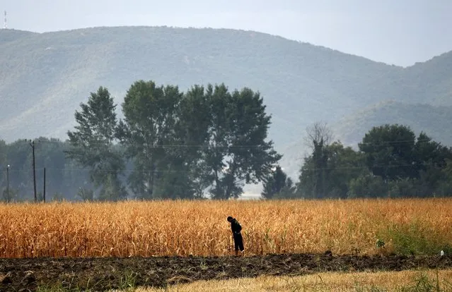 A migrant uses a field as a toilet at the Greek-Macedonian border near the Greek village of Idomeni August 22, 2015. Thousands of refugees and migrants camped in no man's land waiting to cross the border. (Photo by Yannis Behrakis/Reuters)