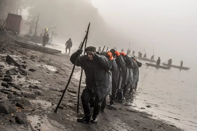 Czech fishermen pull a net during the traditional Carp haul at Lake Zablatsky near Zablati village, near Trebon, Czech Republic, October 31, 2016. The carp haul takes place once a year in the autumn period, primarily in the region of southern Bohemian lakes. Carps are kept alive until they can be sold 3-4 days before Christmas on Dec. 24. Carp is the traditional Czech Christmas Eve dinner. (Photo by Filip Singer/EPA)
