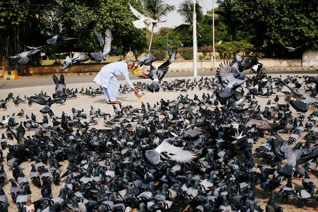 A man spreads a bucket of lentil feed for pigeons, as many believe feeding pigeons brings good luck, after Friday prayers during the holy month of Ramadan in Karachi, Pakistan June 1, 2018. (Photo by Akhtar Soomro/Reuters)