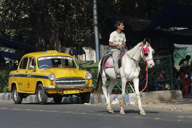 A man rides on a horse past an iconic Ambassador taxi in the morning in Kolkata, India, Sunday, January 3, 2021. (Photo by Bikas Das/AP Photo)