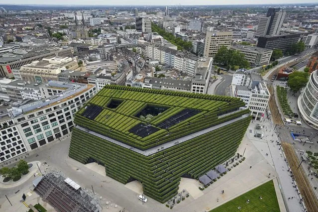 The office and commercial building KII, planted with more than 30,000 hornbeams, is pictured in the city center of Dusseldorf, Germany, Wednesday, June 28, 2023. Europe's largest green facade improves the microclimate in the building and absorbs as much CO2 as 80 large deciduous trees to help fighting climate change. (Photo by Martin Meissner/AP Photo)