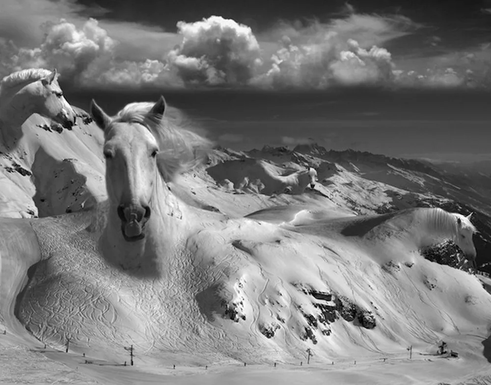 Art by Thomas Barbey