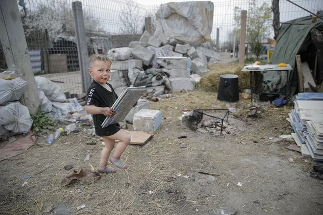 A small boy carries discarded ceramic tiles for his family's home during a raid of the National Environmental Guard through scrape littered back yards in Vidra, Romania, Tuesday, April 13, 2021. Many people in the Roma community in SIntesti scrape a dangerous living by illegally setting fire to whatever they can find that contains metal, from computers to tires and electrical cables. (Photo by Vadim Ghirda/AP Photo)