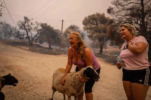 Volunteers rescue sheep from a burning farm during a wild fire in the village of Chasia, near Athens, on August 22, 2023. Greece's fire brigade on August 22, 2023 ordered the evacuation of a district on Athens' northwestern flank as firefighters battled a steadily growing wave of wildfires around the country, the second in a month. Tens of thousands of people have been urged to leave the district of Ano Liosia, while at the neighbouring community of Fyli an AFP journalist saw homes on fire. (Photo by Angelos Tzortzinis/AFP Photo)