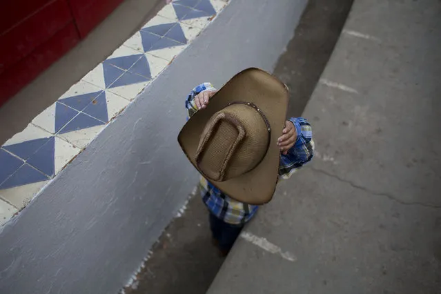 In this Feb. 26, 2015 photo, a boy adjusts his cowboy hat as he waits in the front row for the start of a charreada at the National Charros Association arena in Mexico City. Association member Fernando Medellin Leal, who has been participating in charreria for 30 years, says children from charro families are introduced to the sport as early as two or three. (Photo by Rebecca Blackwell/AP Photo)