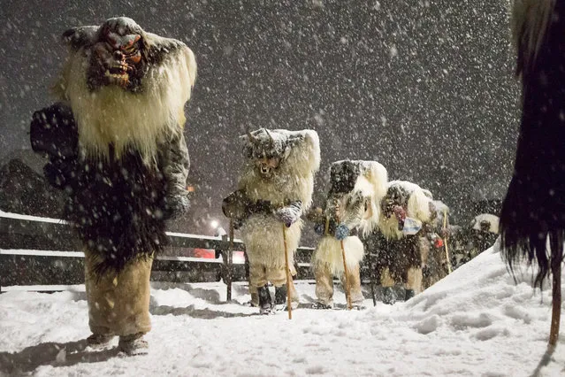 Some “Tschaeggaettae”, masked participants of the traditional carnival cortege, poses in the streets of the village of Blatten in the Loetschental valley, southwestern part of Switzerland, late 04 February 2016. During this sinister carnival, about one hundred Tschaeggaettae with huge wooden masks and animal furs crowd the streets of the villages to scare the people in the Loetschental, a valley where this custom is still alive. (Photo by Dominic Steinmann/EPA)